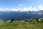 IMG_0322