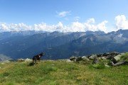 IMG_0323