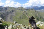 IMG_0331