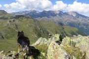 IMG_0332