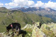 IMG_0333