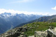 IMG_0346