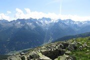 IMG_0349