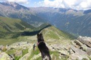 IMG_0378