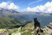 IMG_0380