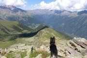 IMG_0381