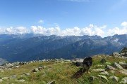 IMG_0397