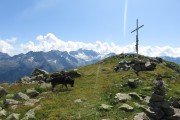IMG_0398
