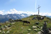 IMG_0399