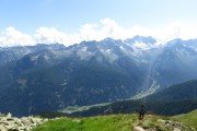 IMG_0416
