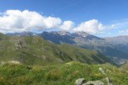 IMG_0429