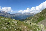 IMG_0442