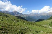 IMG_0443