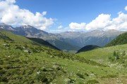 IMG_0445