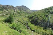 IMG_0447