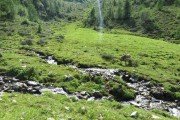 IMG_0450