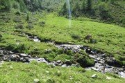 IMG_0451