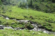 IMG_0452