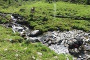 IMG_0455