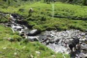 IMG_0456