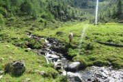 IMG_0457