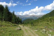 IMG_0460