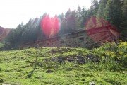 IMG_0462