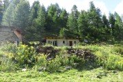 IMG_0465
