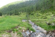 IMG_0470