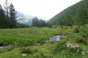 IMG_0472
