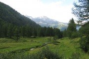 IMG_0474