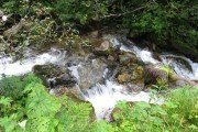 IMG_0476
