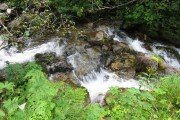 IMG_0478
