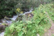 IMG_0479