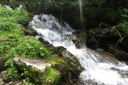 IMG_0482