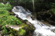 IMG_0484