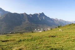 IMG_0006