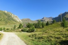 IMG_0008