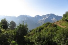 IMG_0012