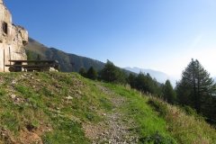 IMG_0019