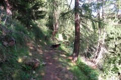 IMG_0037