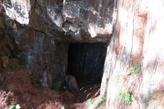 IMG_0039