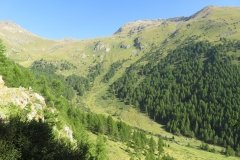 IMG_0042