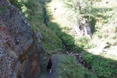 IMG_0047