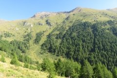 IMG_0049