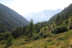 IMG_0053