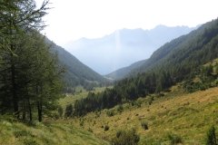 IMG_0056