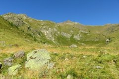 IMG_0058