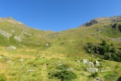 IMG_0060