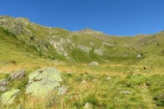 IMG_0062